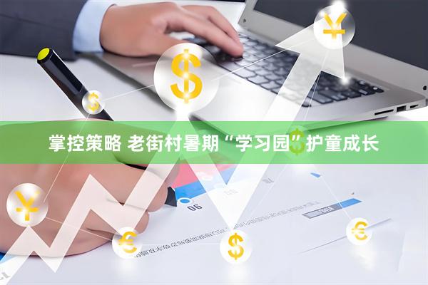 掌控策略 老街村暑期“学习园”护童成长