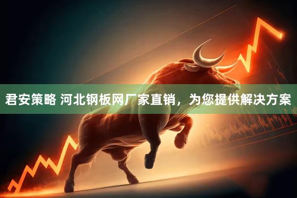 君安策略 河北钢板网厂家直销，为您提供解决方案