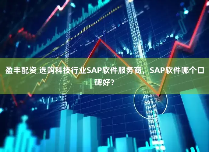 盈丰配资 选购科技行业SAP软件服务商，SAP软件哪个口碑好？