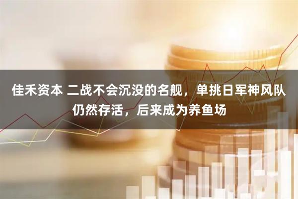 佳禾资本 二战不会沉没的名舰，单挑日军神风队仍然存活，后来成为养鱼场